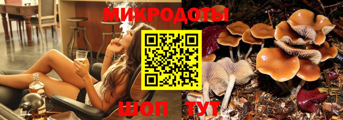 Псилоцибиновые грибы Psilocybe  наркошоп  Балтийск  Вход с VPN 