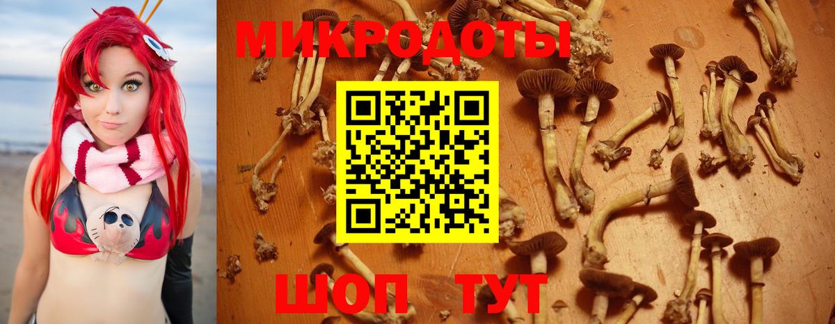 Псилоцибиновые грибы прущие грибы Балтийск